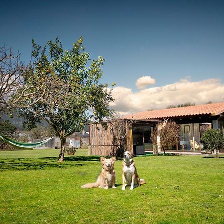 הוילה טואי Casa Barros מראה חיצוני תמונה
