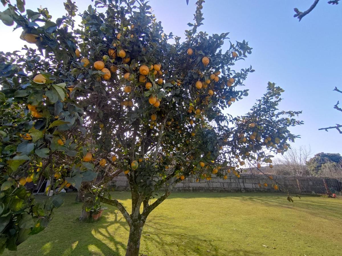 הוילה טואי Casa Barros מראה חיצוני תמונה